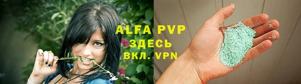 ECSTASY Вяземский