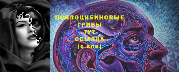 ECSTASY Вяземский