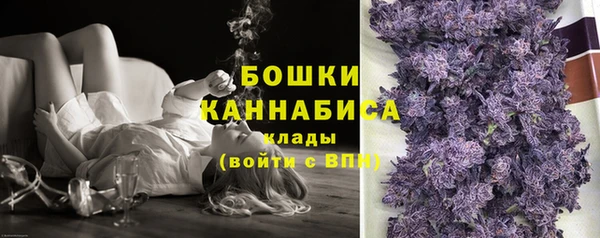 ECSTASY Вяземский