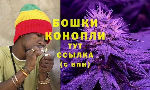 ECSTASY Вяземский